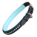 ExionPro Blue Bling Dog Collar - Equine Exchange Tack Shop