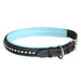ExionPro Blue Bling Dog Collar - Equine Exchange Tack Shop