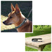 ExionPro Blue Bling Dog Leash - Equine Exchange Tack Shop
