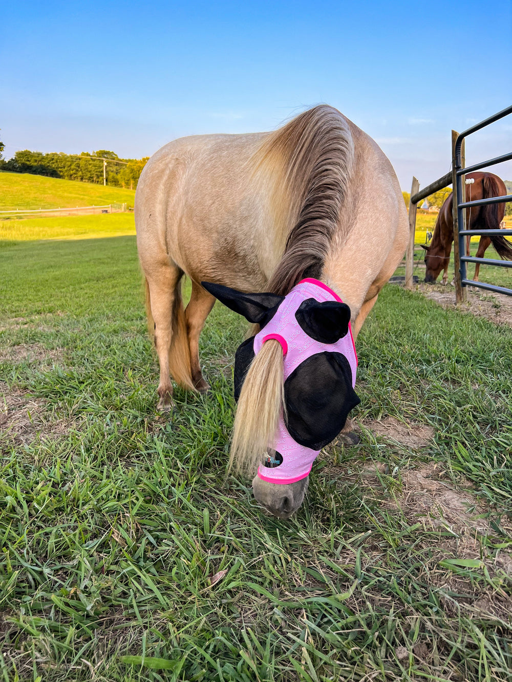 Baddie Fly Mask - Equine Exchange Tack Shop