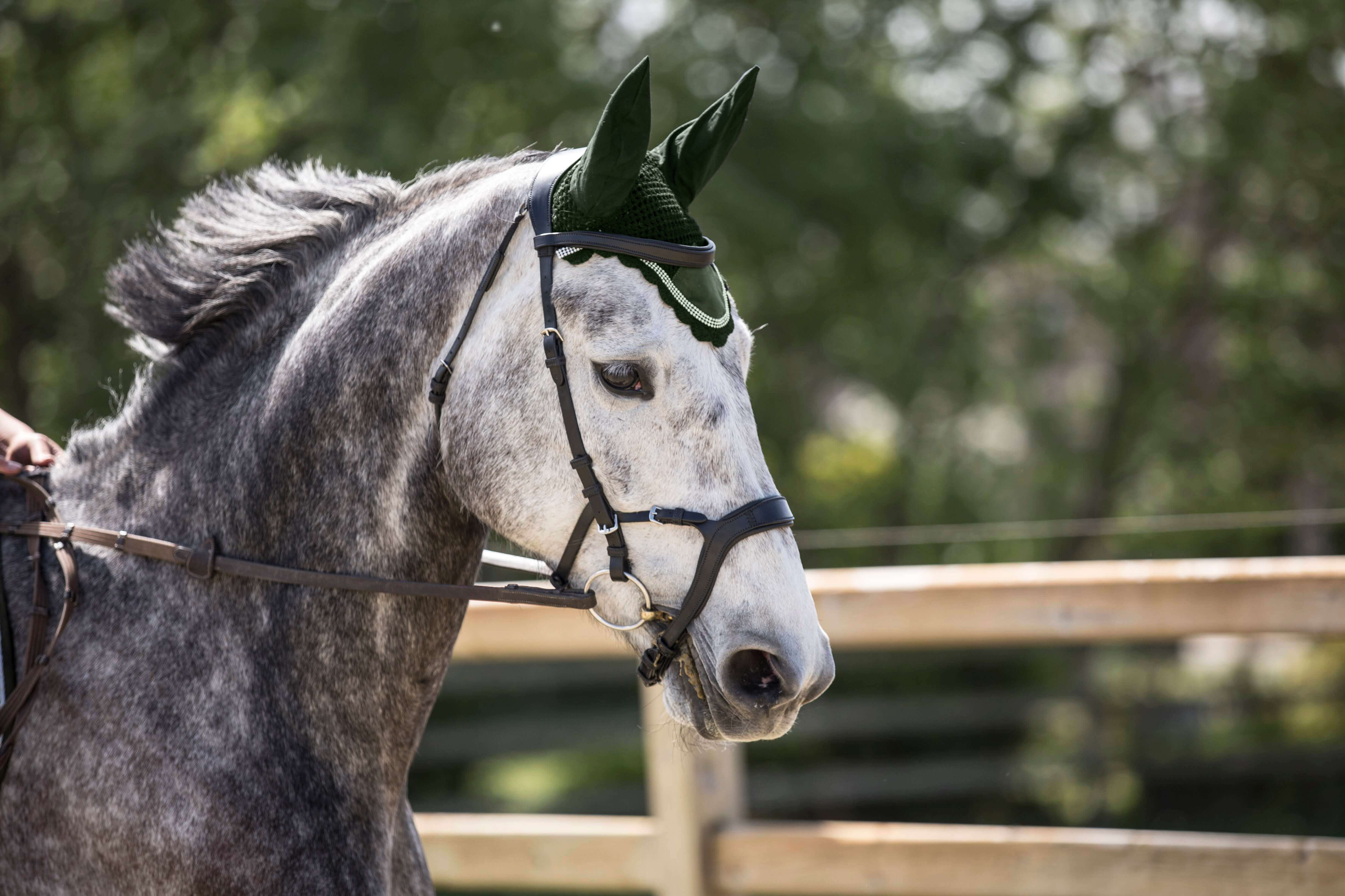 Sage Green Suede Saddle Pad Set - Equine Exchange Tack Shop