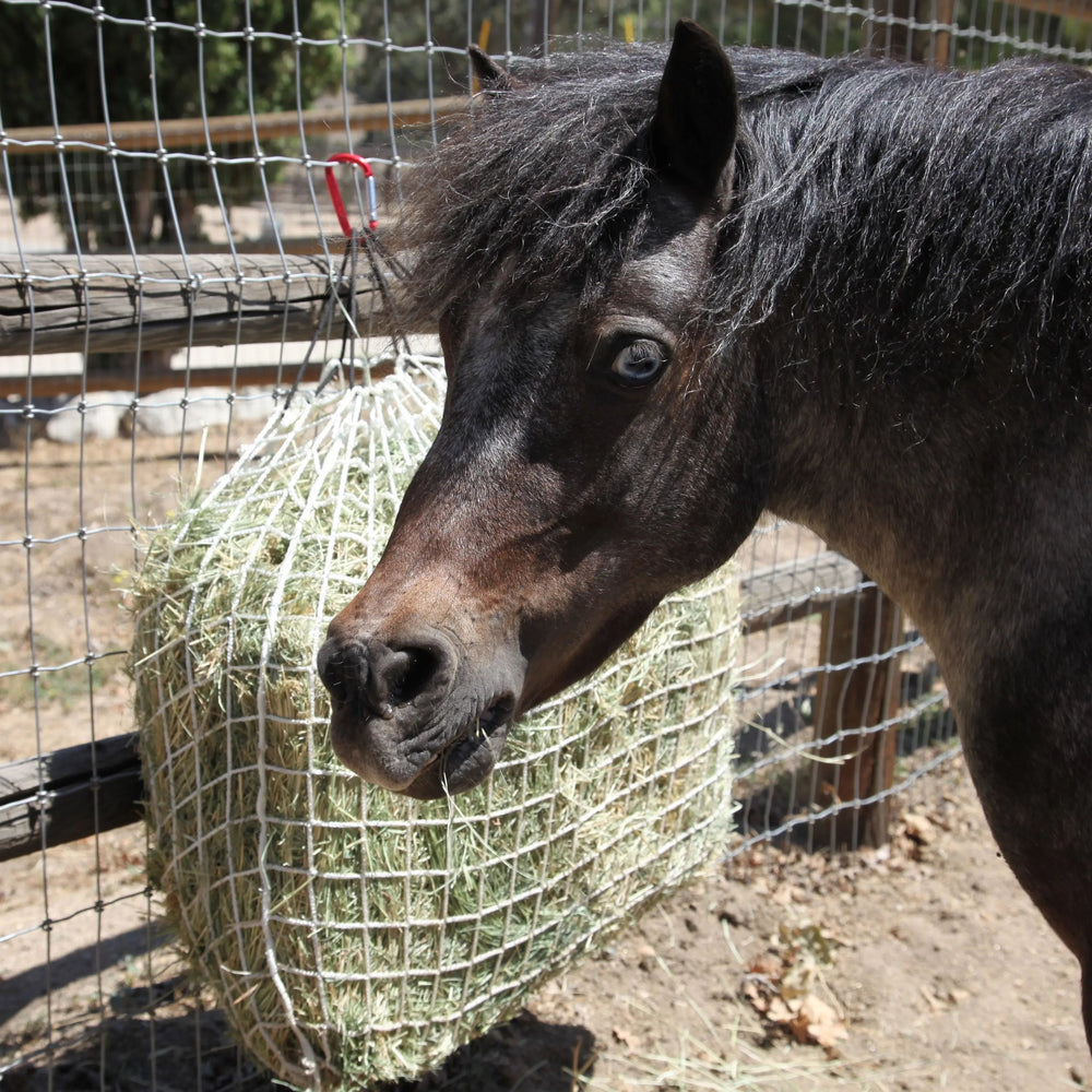 Freedom Feeder Trailer/Mini Net - 2 Flake Capacity - 3 Slow Feed Mesh Options - Equine Exchange Tack Shop