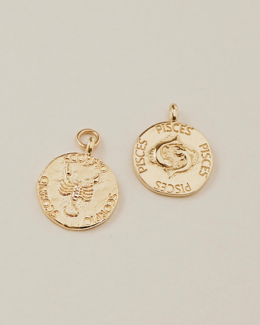 Zodiac Charms