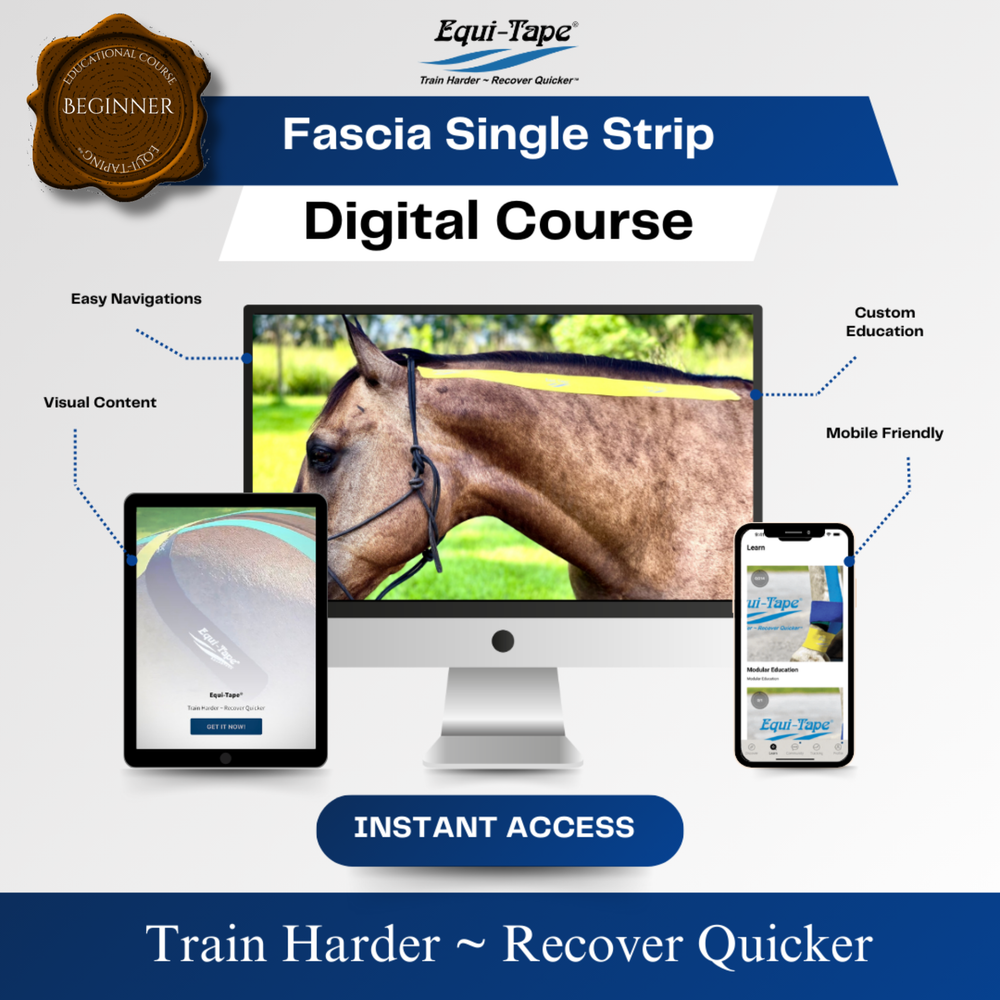 Equitape Training Module: Fascia - Equine Exchange Tack Shop