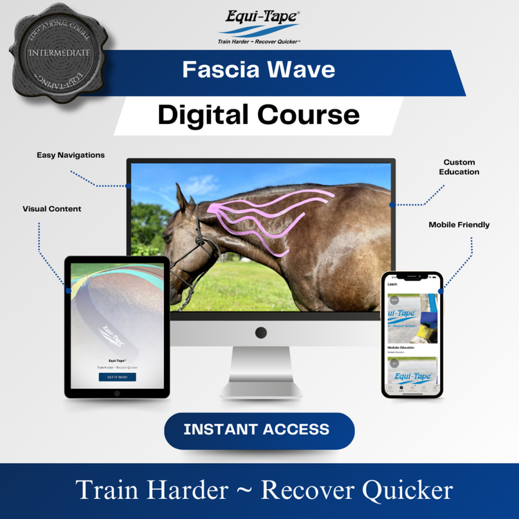 Equitape Training Module: Fascia - Equine Exchange Tack Shop