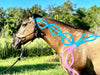Equi-Tape® Fundamentals Course & Module Bundle - Equine Exchange Tack Shop