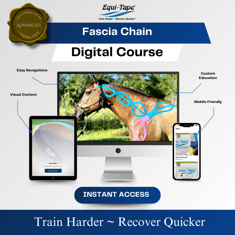 Equitape Training Module: Fascia - Equine Exchange Tack Shop