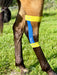 Equi-Tape® Fundamentals Course & Module Bundle - Equine Exchange Tack Shop