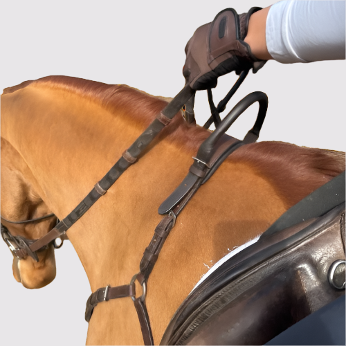 Free Motion Breastplate with Double Neck Strap - Equine Exchange Tack Shop
