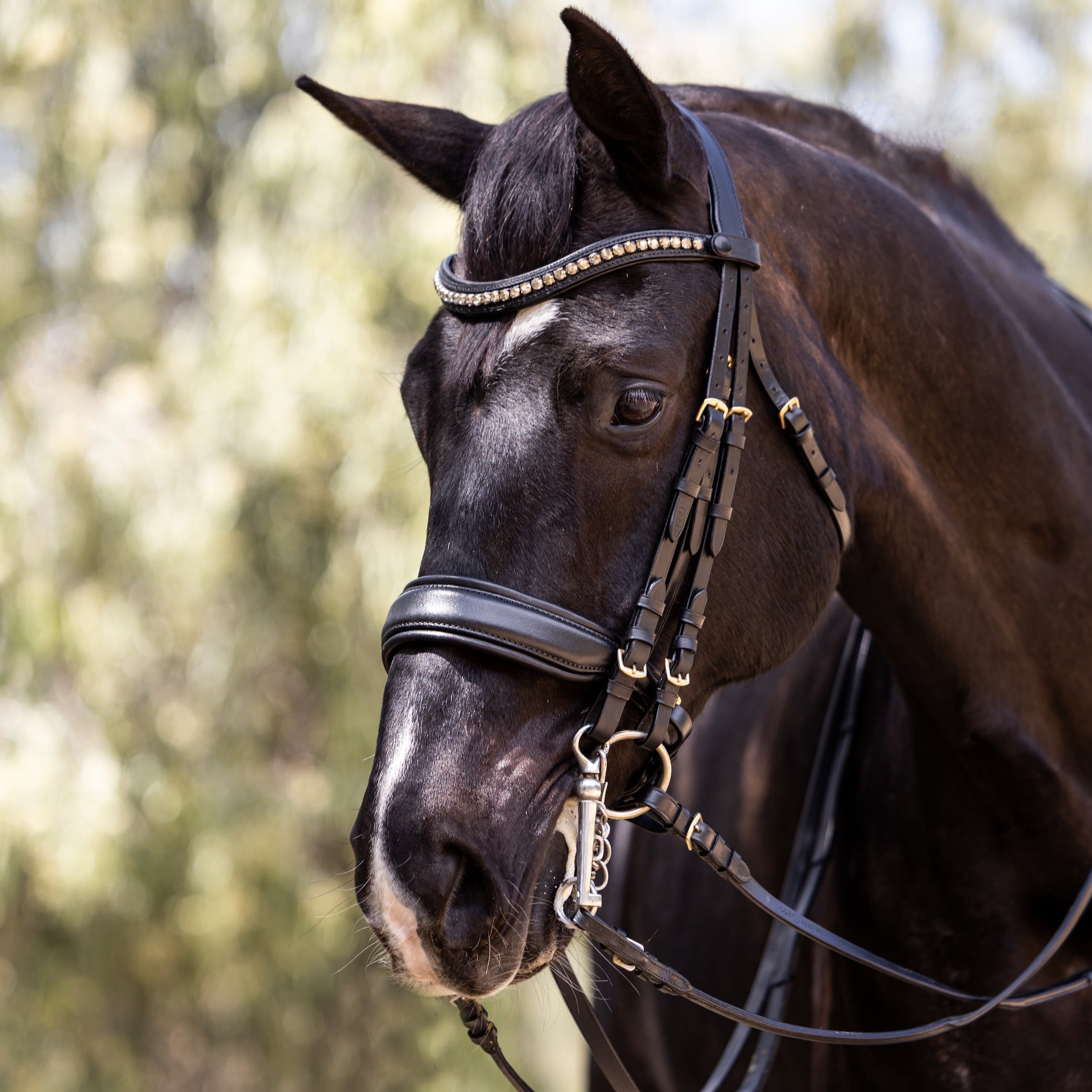 Birmingham Non-Patent Black Leather Double Bridle - Equine Exchange Tack Shop