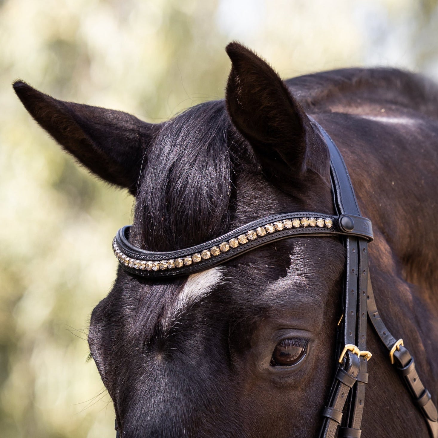 Birmingham Non-Patent Black Leather Double Bridle - Equine Exchange Tack Shop