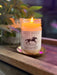 Homestretch - Trot It Forward Collection  