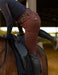 Athletic Breech - Leather Brown - Equine Exchange Tack Shop