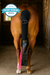 RumpRbbr™ Tail Guard - Equine Exchange Tack Shop