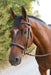 Noland Schooling Hunter Bridle - Equine Exchange Tack Shop