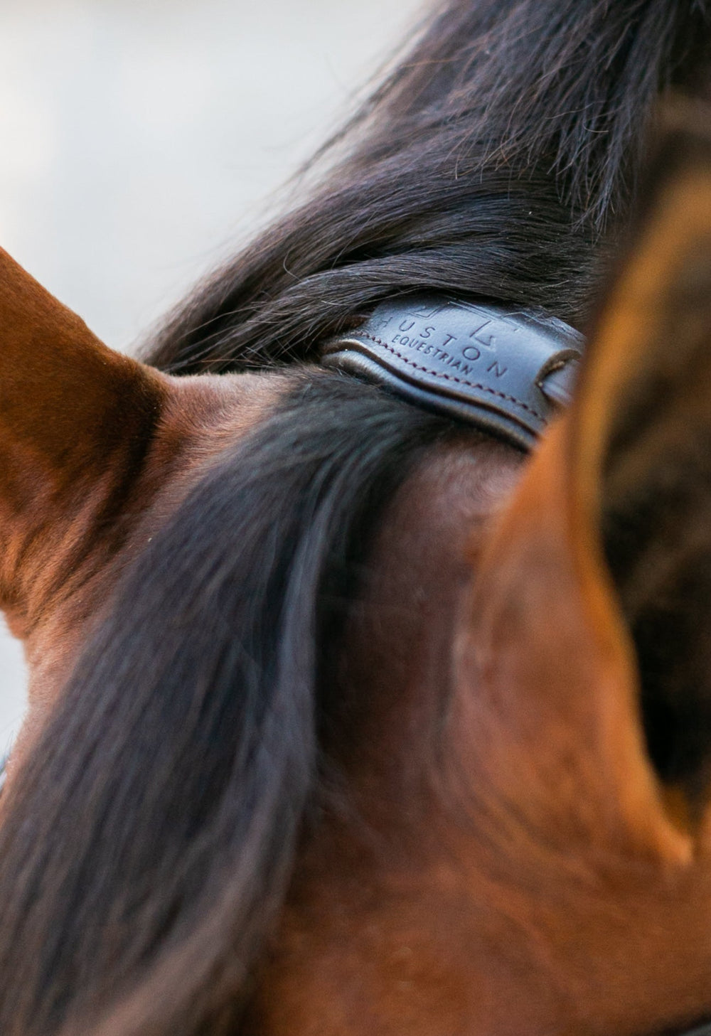 Noland Schooling Hunter Bridle - Equine Exchange Tack Shop