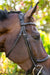 Noland Anatomical Schooling Bridle - Equine Exchange Tack Shop