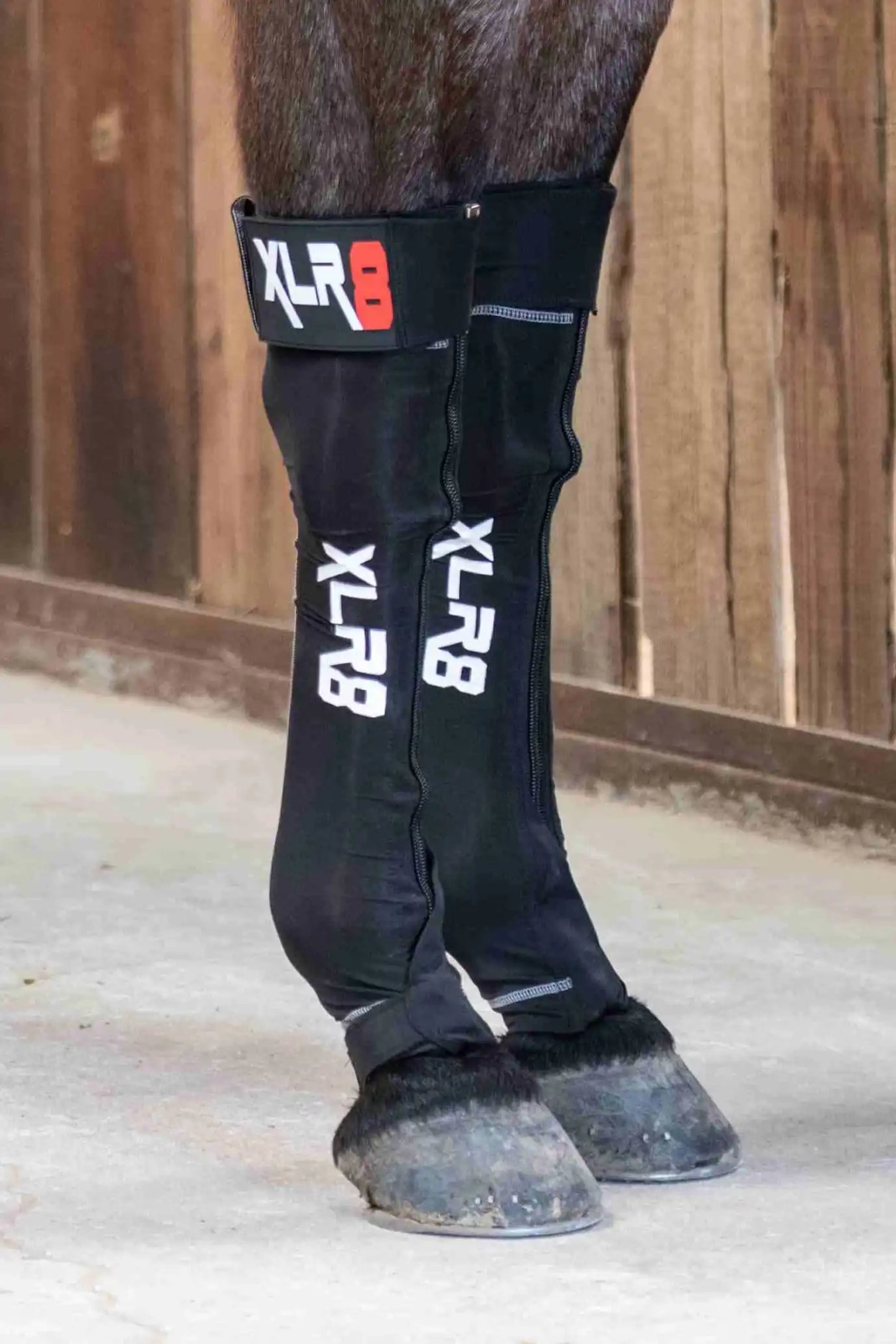 Protective Boots