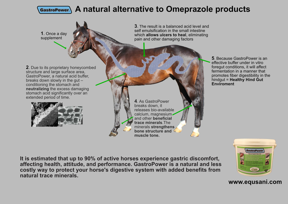 GastroPower Natural Gastric Ulcer Aid + Minerals + Fatty Acids - Equine Exchange Tack Shop