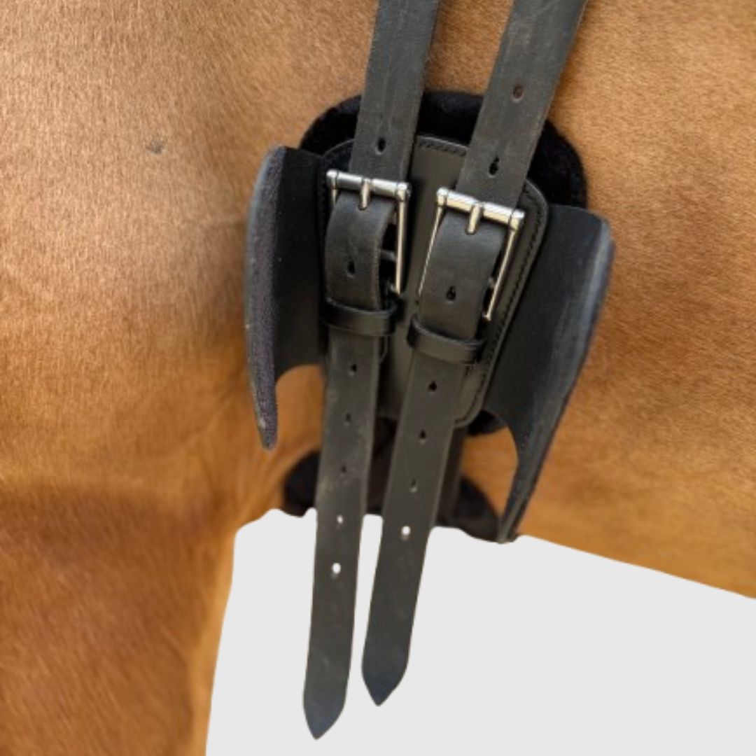 Pressure Relief Comfort Short Girth - Equine Exchange Tack Shop