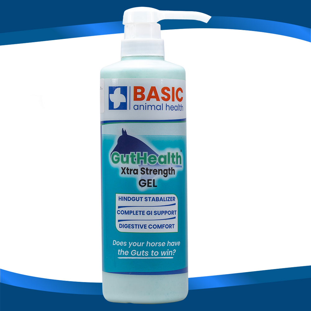 GutHealth Xtra Strength Gel for Horses - Bottles - Equine Exchange Tack Shop