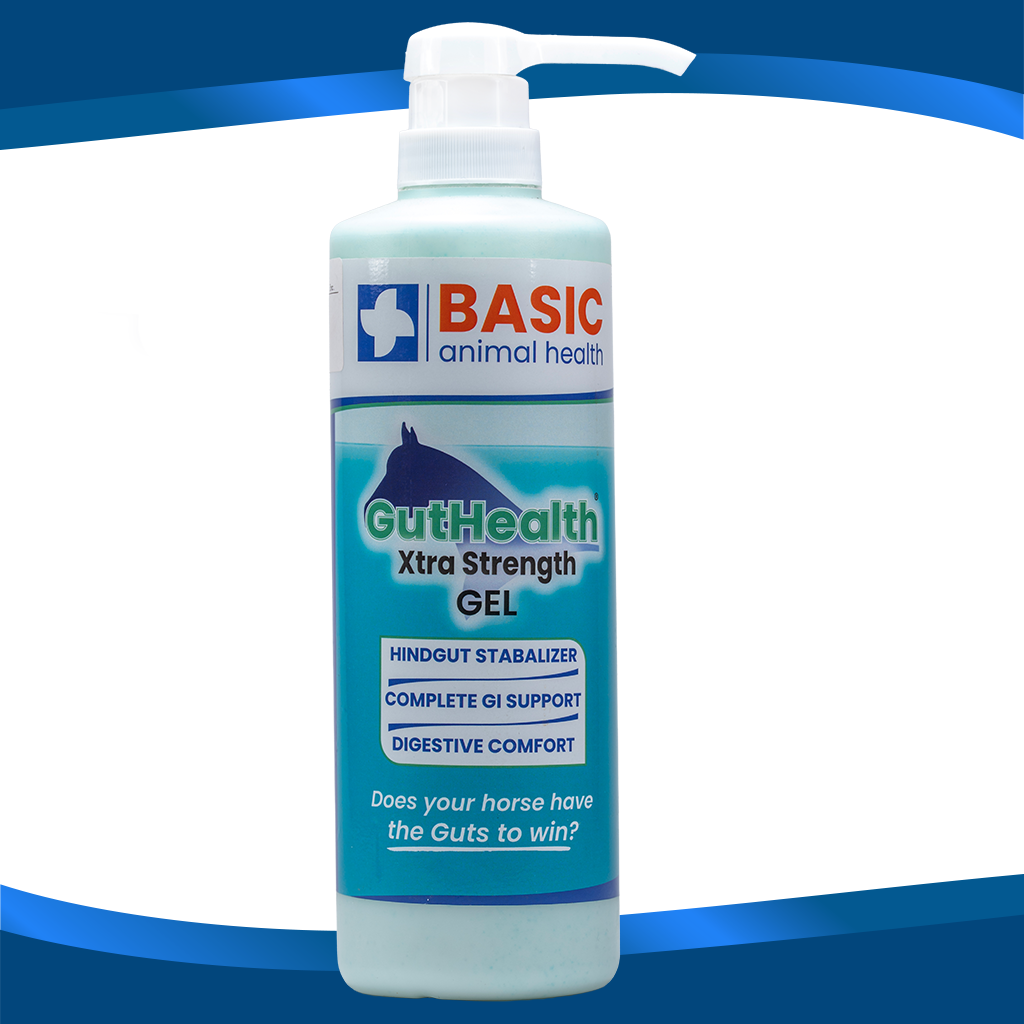 GutHealth Xtra Strength Gel for Horses - Bottles - Equine Exchange Tack Shop