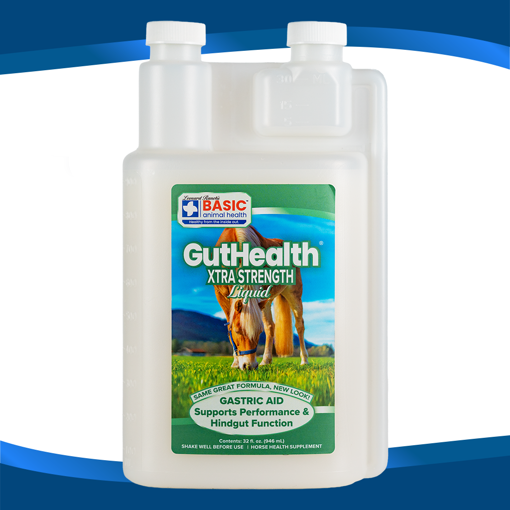 GutHealth Xtra Strength Liquid Supplement for Horses - Equine Exchange Tack Shop