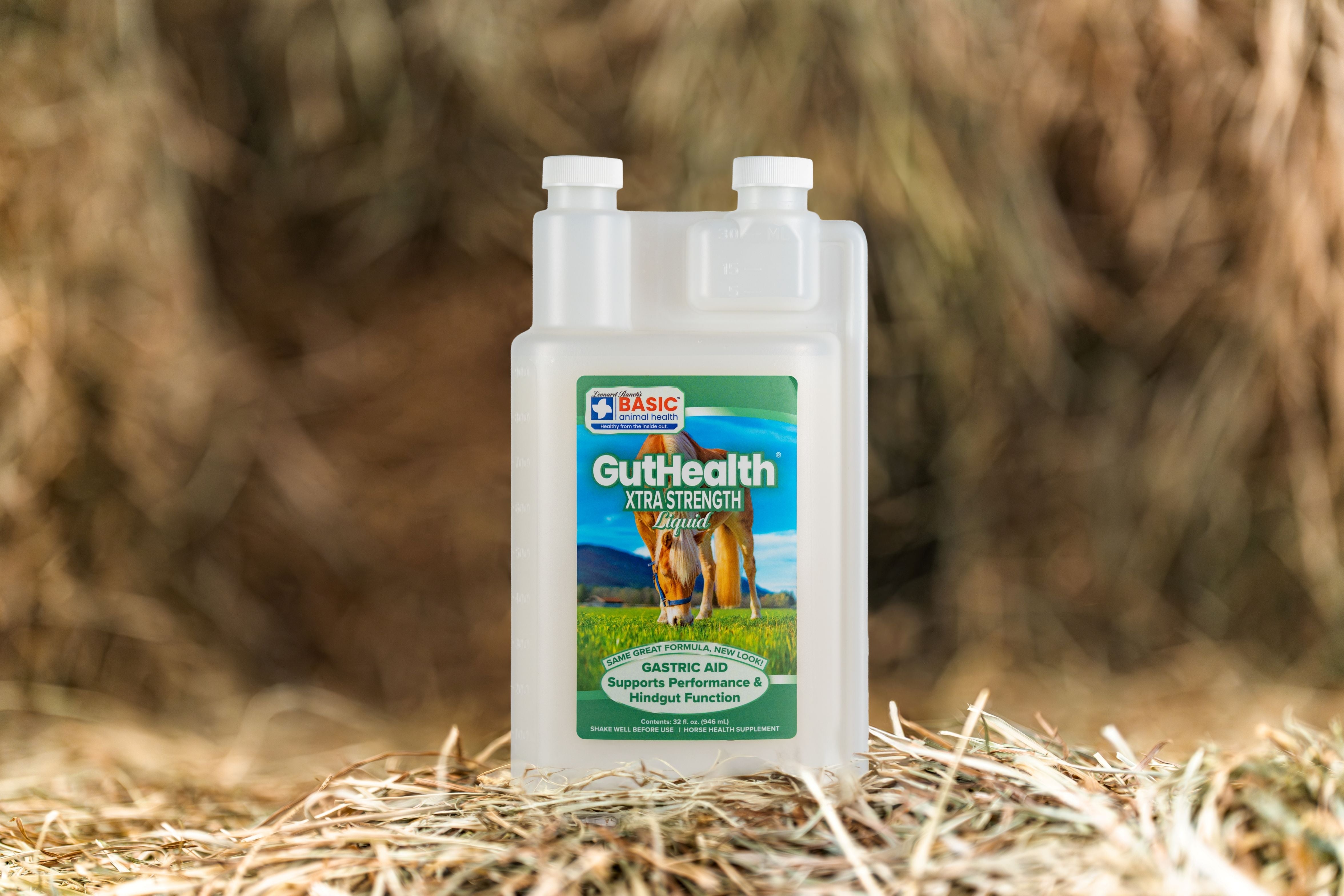 GutHealth Xtra Strength Liquid Supplement for Horses - Equine Exchange Tack Shop