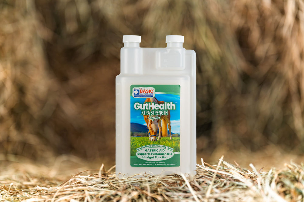 GutHealth Xtra Strength Liquid Supplement for Horses