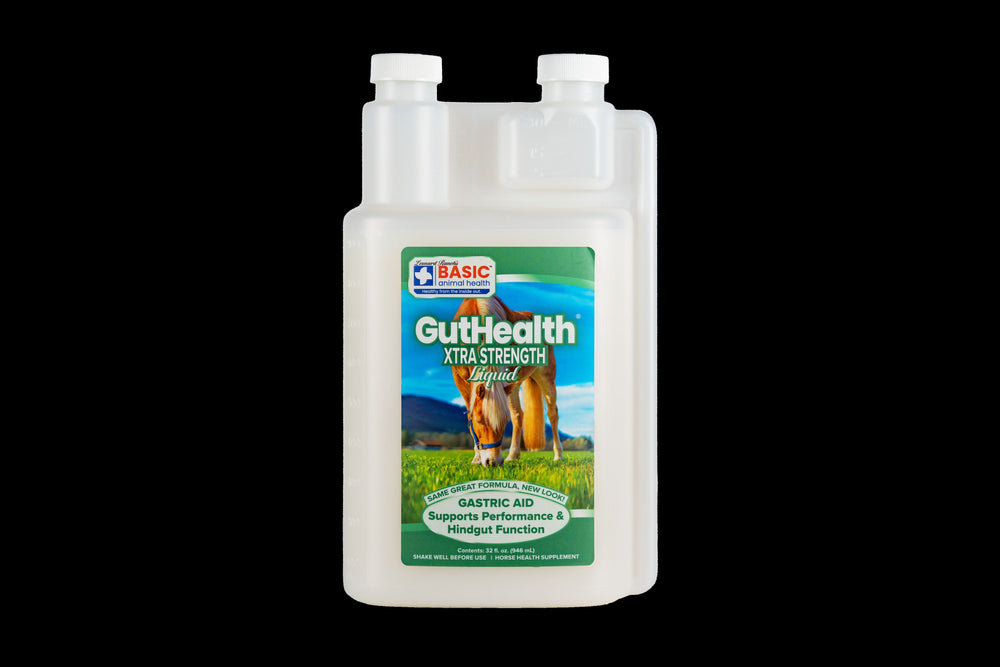 GutHealth Xtra Strength Liquid Supplement for Horses - Equine Exchange Tack Shop