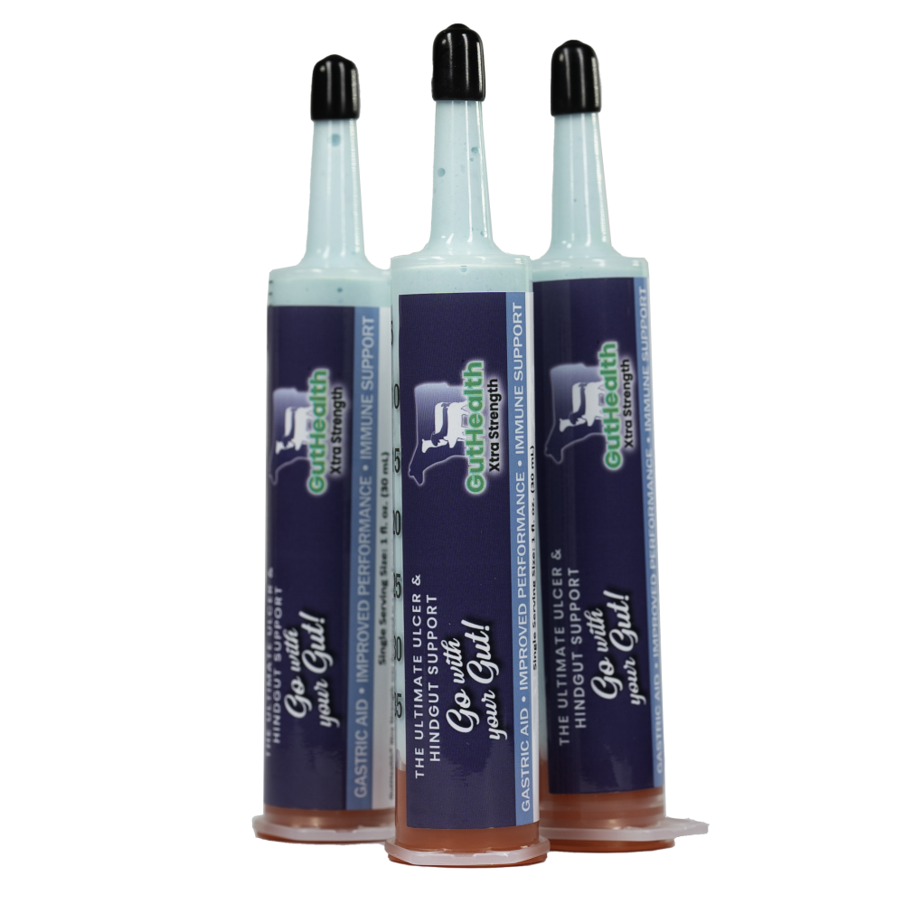 GutHealth Xtra Strength Gel for Horses - 3 Pack - Equine Exchange Tack Shop