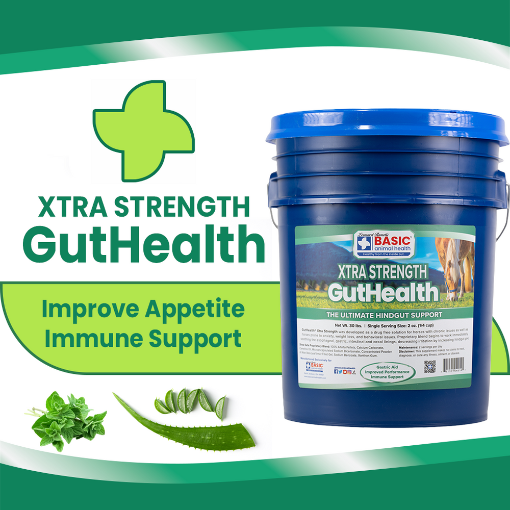 GutHealth Xtra Strength Pellets Supplement for Horses - Equine Exchange Tack Shop