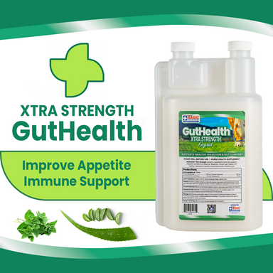 GutHealth Xtra Strength Liquid Supplement for Horses - Equine Exchange Tack Shop