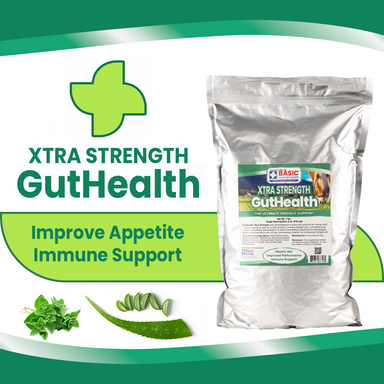GutHealth Xtra Strength Pellets Supplement for Horses - Equine Exchange Tack Shop