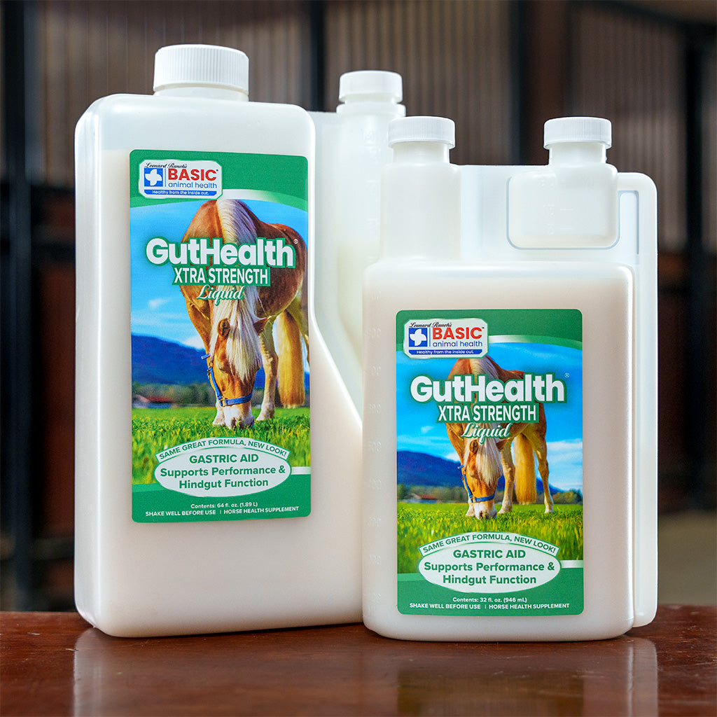 GutHealth Xtra Strength Liquid Supplement for Horses
