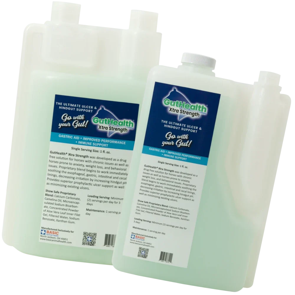 GutHealth Xtra Strength Liquid Supplement for Horses