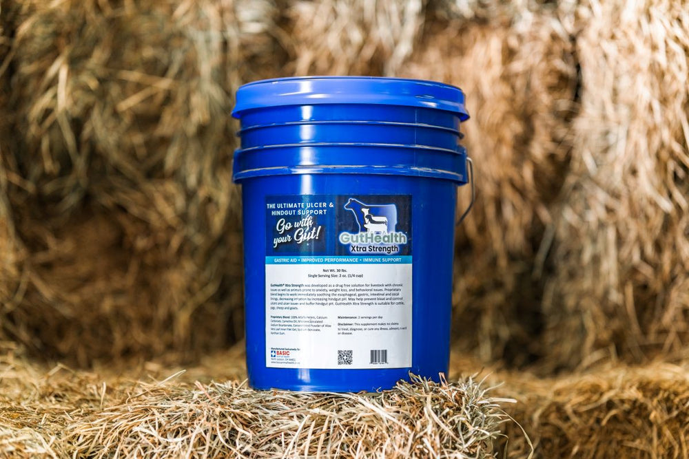 GutHealth Xtra Strength Pellets Supplement for Livestock