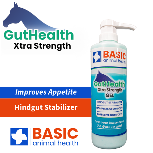GutHealth Xtra Strength Gel for Horses - Bottles - Equine Exchange Tack Shop