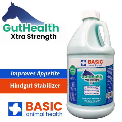GutHealth Xtra Strength Gel for Horses - Bottles - Equine Exchange Tack Shop