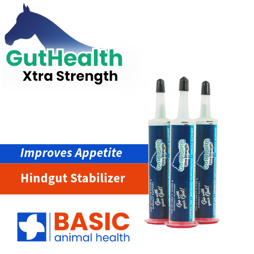 GutHealth Xtra Strength Gel for Horses - 3 Pack - Equine Exchange Tack Shop