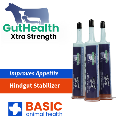 GutHealth Xtra Strength Gel for Livestock - 3 Pack - Equine Exchange Tack Shop