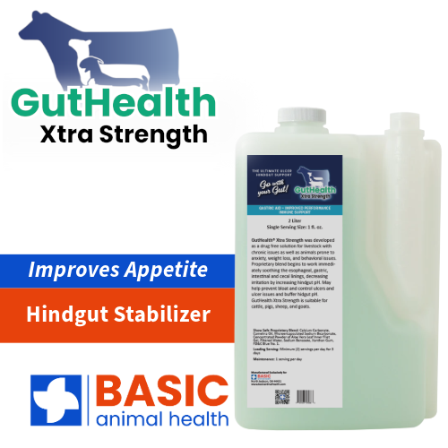 GutHealth Xtra Strength Liquid Supplement for Livestock - Equine Exchange Tack Shop