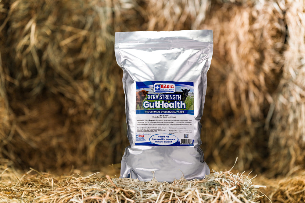 GutHealth Xtra Strength Pellets Supplement for Livestock - Equine Exchange Tack Shop