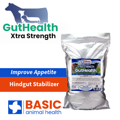 GutHealth Xtra Strength Pellets Supplement for Livestock - Equine Exchange Tack Shop