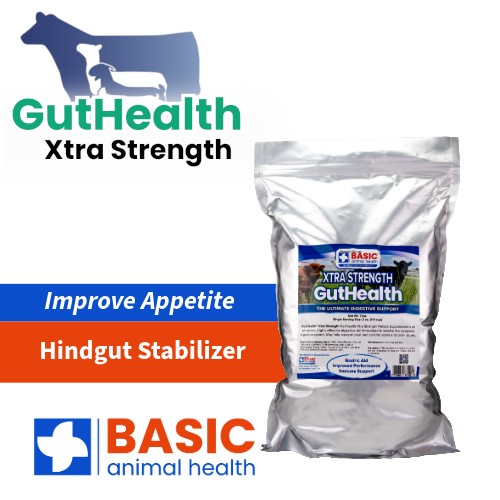 GutHealth Xtra Strength Pellets Supplement for Livestock - Equine Exchange Tack Shop