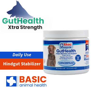 GutHealth Xtra Strength for Dogs - Equine Exchange Tack Shop