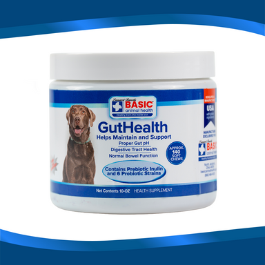 GutHealth Xtra Strength for Dogs - Equine Exchange Tack Shop