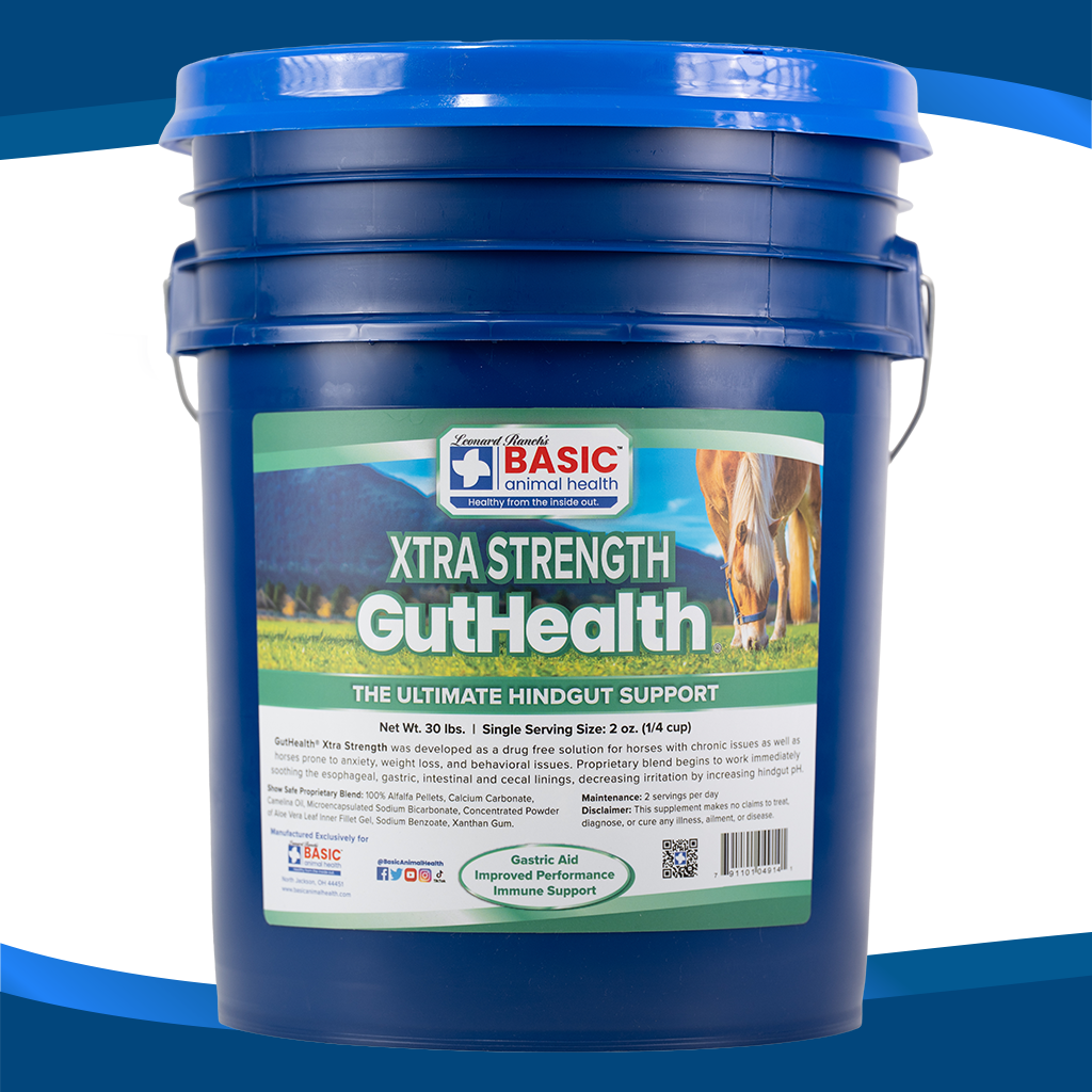 GutHealth Xtra Strength Pellets Supplement for Horses - Equine Exchange Tack Shop