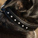 Halter Ego® Black Patent Celebrity Dog Collar - Equine Exchange Tack Shop