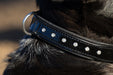 Halter Ego® Black Patent Celebrity Dog Collar - Equine Exchange Tack Shop
